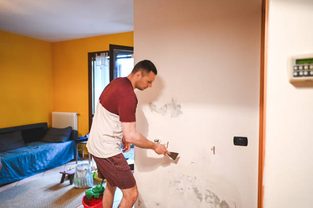 Best Certified Mold Removal  in Franklin, GA