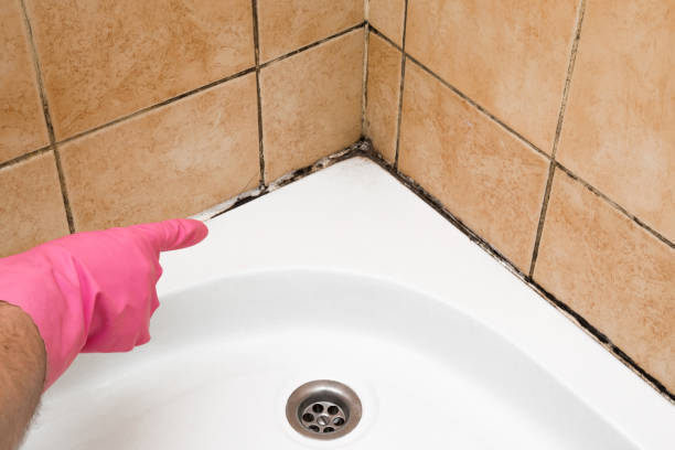 Best Mold Removal Company Near Me  in Franklin, GA